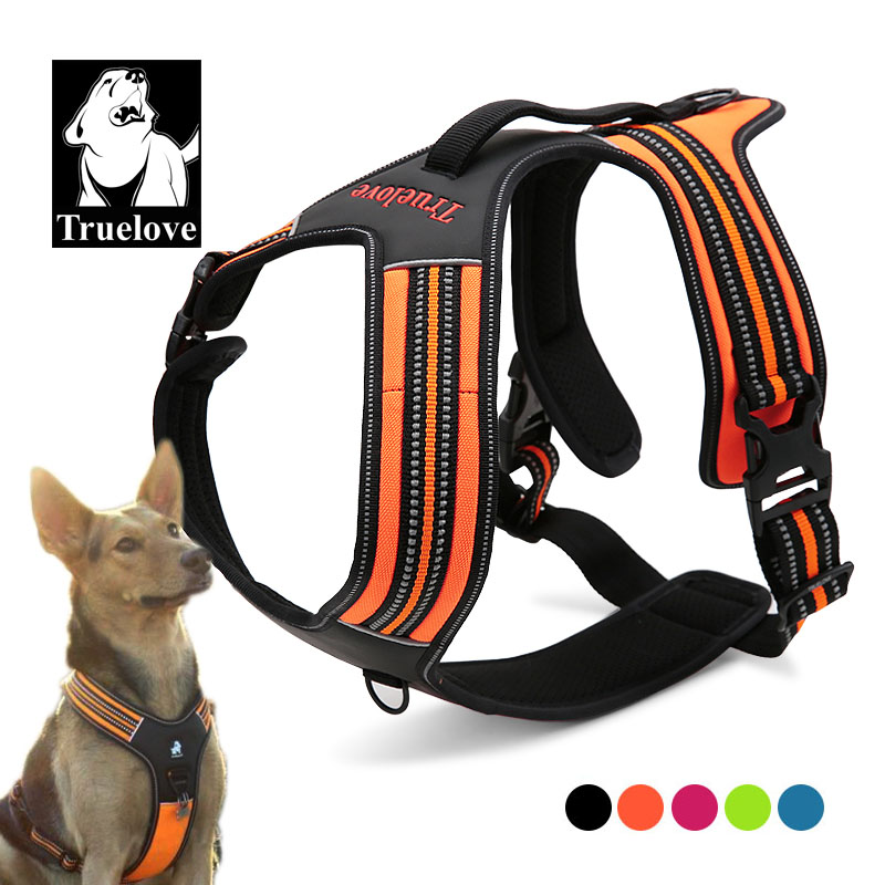 Outdoor Adventure Xl - Arnés para Perro Truelove Sport de
